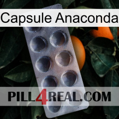 Anaconda Capsule 30